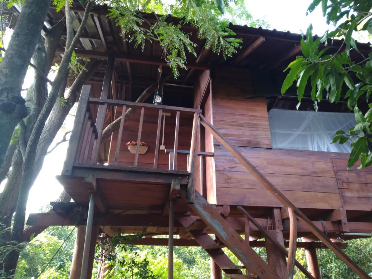 Dambulla Tree House Vila Exterior foto