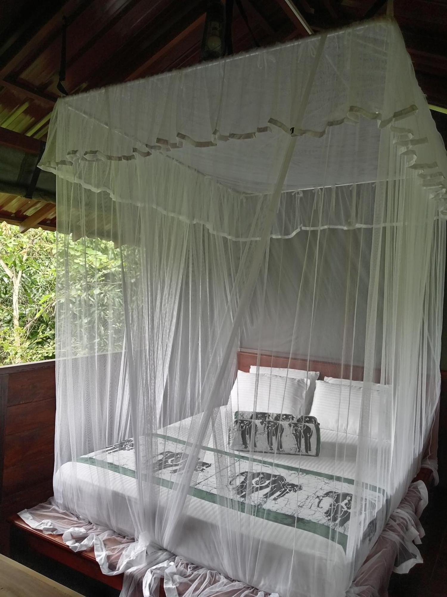Dambulla Tree House Exterior foto