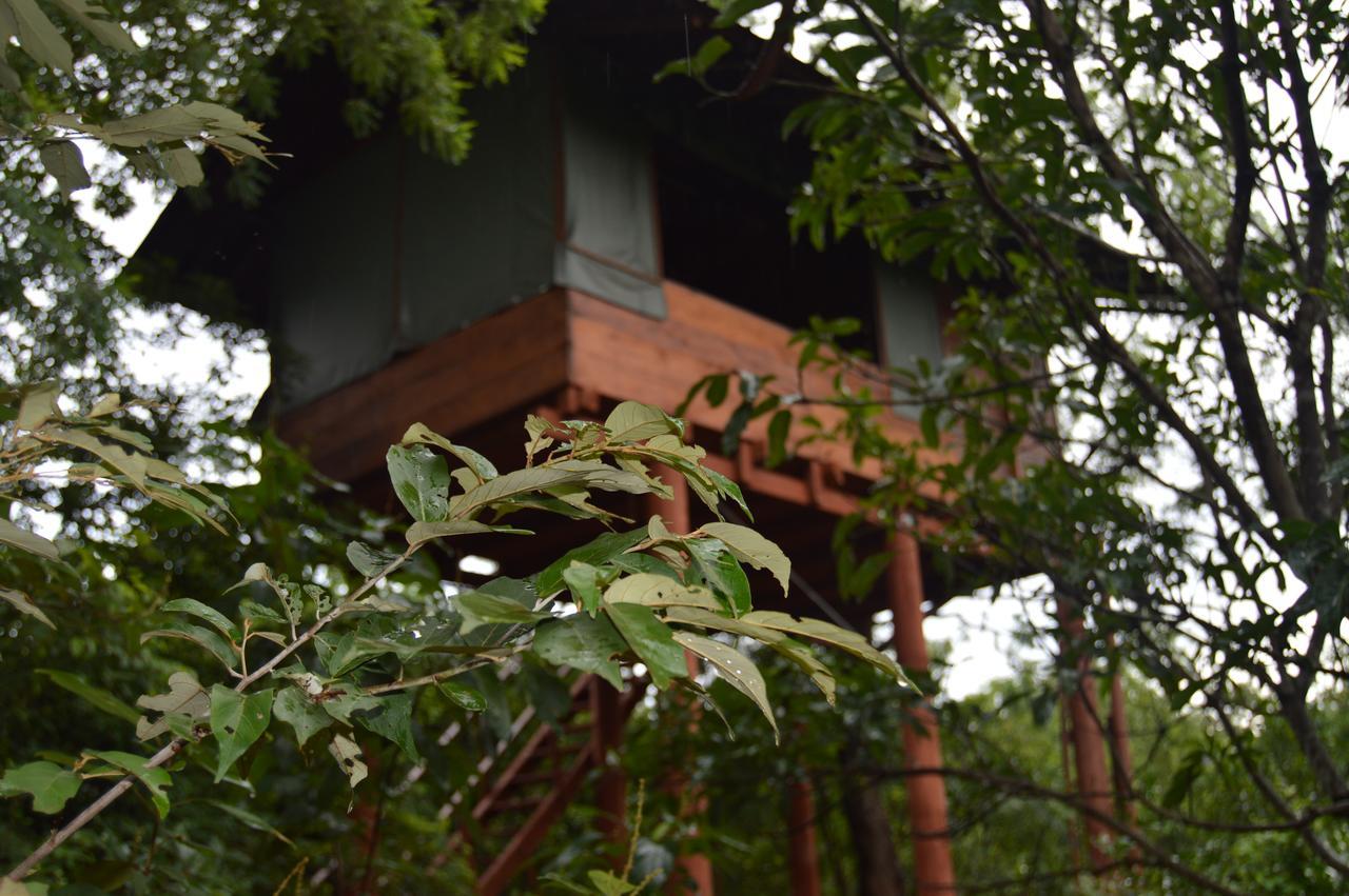 Dambulla Tree House Vila Exterior foto