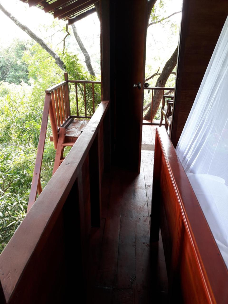 Dambulla Tree House Vila Exterior foto