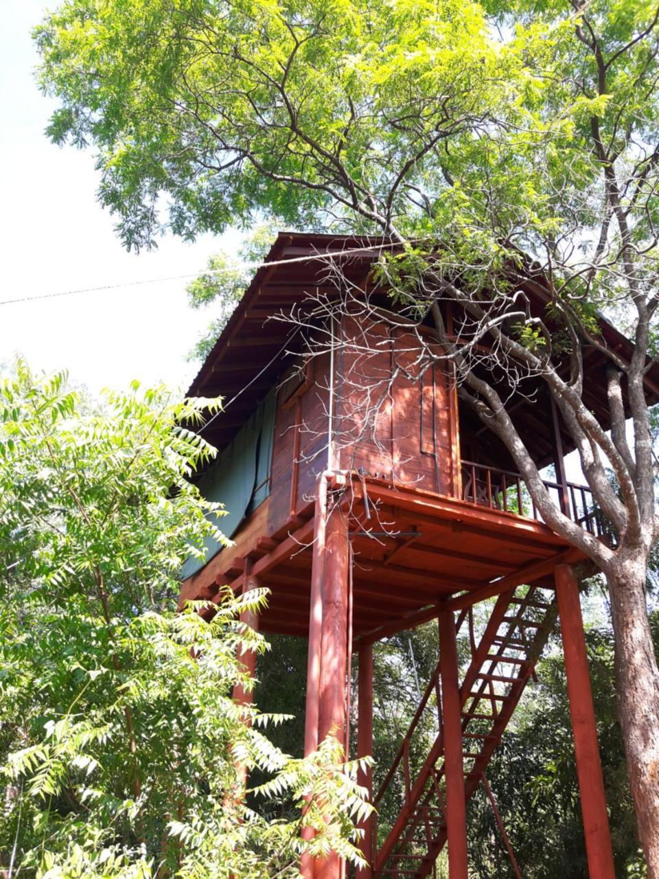 Dambulla Tree House Vila Exterior foto